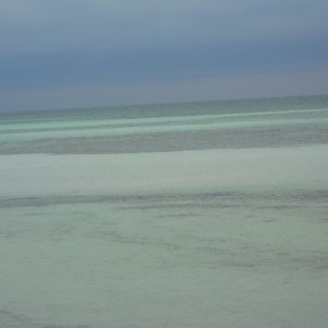 The Water
