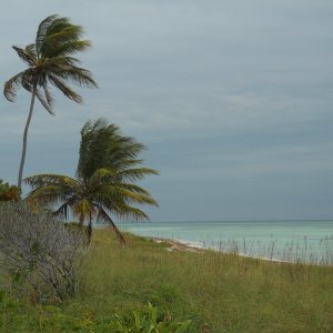 DSCN0071