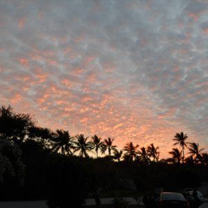 Sunset 5