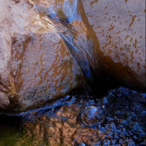 Little Waterfall at Fifty Mile Canyon 9-22-09