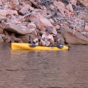 IMG 0150