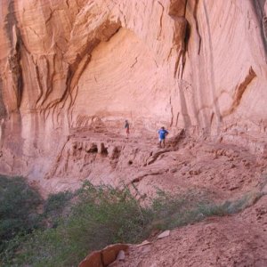 IMG 0531
