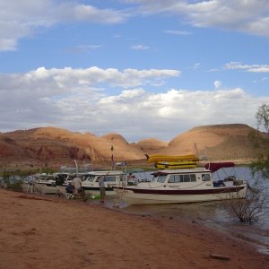 more C-Dories at rest