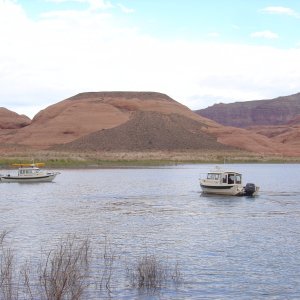 Bossa Nova and Rana Verde in Oak Canyon