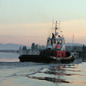 (Pat Anderson) The Tug Rosario