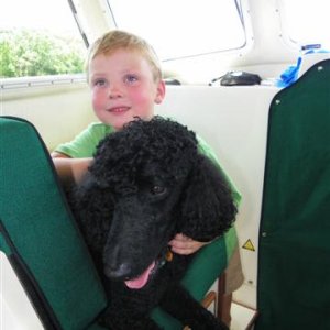 Sampson and Tennison