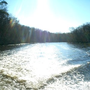 Media 'Pamunkey River (upper York River), Virginia.' in album 'In the slip, loading for survey.'