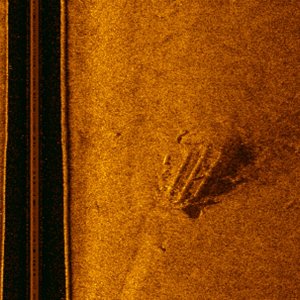 Another Pamunkey River wreck.