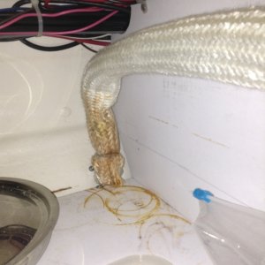 The Wallas gets hot fast!  Late in 2011, we let milk boiler over on our Wallas.  What we did not know, was that the caramelized milk ran down the hose and onto the top cabinet shelf.  What a mess to clean up!  So when placing liquids on a Wallas, don't take your eyes off of the pot, even for a minute.