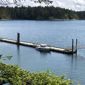 Media 'Alone in Prevost Harbor' in album 'Alone in Prevost Harbor'