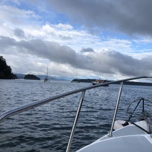 Media 'Eagle Harbor Cypress I' in album 'Alone in Prevost Harbor'