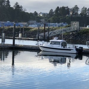 Media 'Newport' in album 'Alone in Prevost Harbor'