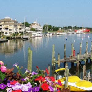 City of Lewes, DE, Canal Front Marina