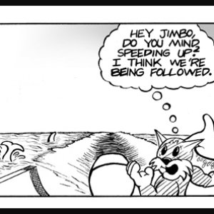 Being followed?