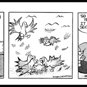 5 second rule