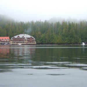 Media 'Barnard Harbour' in album 'Bishop Bay'