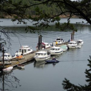 Boats at Prevost dock on Saturday morning