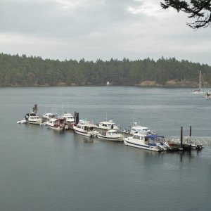 Media 'Prevost harbor dock Saturday afternoon - 10 boats all C-dorys' in album 'Friday night in Anacortes. When a 32 Nordic is the little boat at the dock'