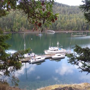 Media 'Reid Harbor dock Sunday morning' in album 'Friday night in Anacortes. When a 32 Nordic is the little boat at the dock'