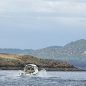 Media 'Off to Deer Harbor!' in album 'Friday night in Anacortes. When a 32 Nordic is the little boat at the dock'