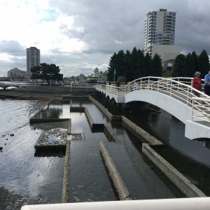 Media 'Nanaimo waterfront' in album 'Crossing Boundary Pass into Canadian waters August 18, after the Bellingham CBGT'