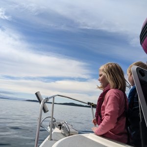 Watching Dolphins