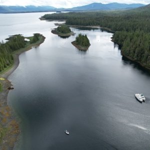 Vixen Harbor