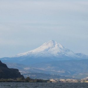 Mt. Hood