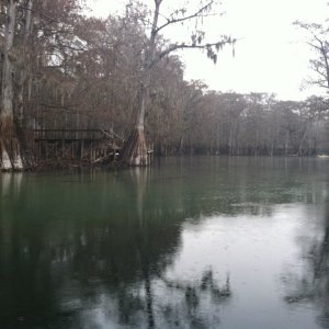 Media 'Entrance to the Ichetucknee River off the Santa Fe.' in album 'Suwannee to Fanning Springs'
