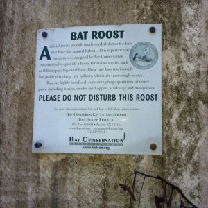 Bat roost. Artificial concrete tower.