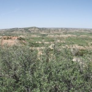 Media 'Theodore Roosevelt National Park, ND. Painted Canyons rest area.' in album 'Buffalo River State Park, Minnesota. Storms over night left a mess of tree stuff on my car and boat...'