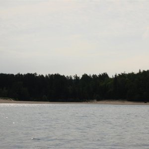 6 (138)