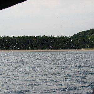 6 (140)