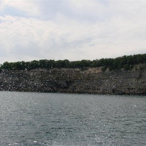 6 (257)