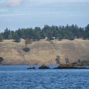 Leaving Roche Harbor -- The San Juan Islands offer many contrasts