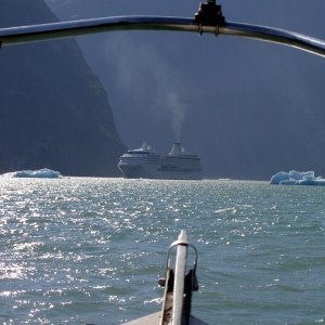(Hunkydory) Tracy Arm-cruise ship in sights