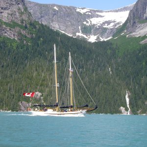 Media '(Hunkydory) Tracy Arm-sailboat' in album '2004 (Hunkydory) Jay-Red Bluff Bay'