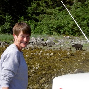 (Hunkydory) Fords Terror-Jo-Lee&bear