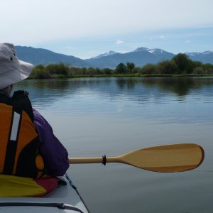 Media 'Ennis Lake MT - Elk in the water 2009' in album '1993 Cruiser - Sold 9/06/2010. 
We Bought a 22 Cruiser!'
