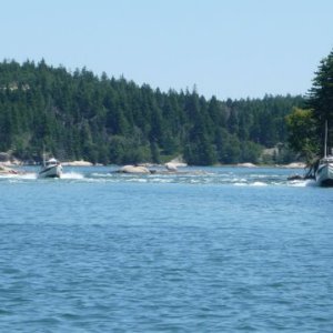 P1010696