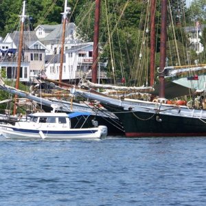 Windjammers in Camden Harbor.