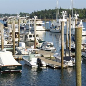 Media 'Three C-Dories in the Great Harbor Marina, Southwest Harbor, Mount Desert Island.' in album 'Southwest Harbor Lobster Feed'