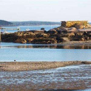 One of the many obstructions in the harbor, notice the high tide line on the rocks (12 Ft).