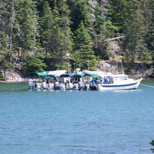 Duck Harbor, Isle Au Haute part of Acadia National Park.