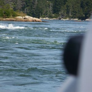 Reversing falls in the gut leading into The Basin on Vinalhaven Island.