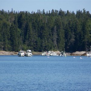 Calmer times in The Basin.