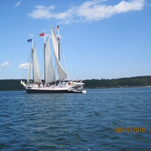 Another Windjammer