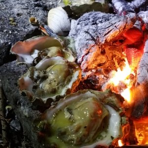 Oyster roast each night