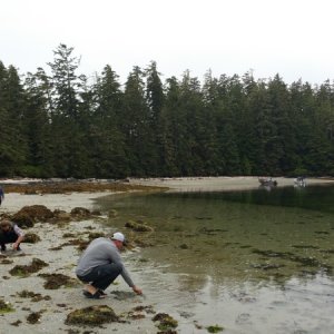 Clamming at Clark island