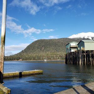 Beautiful day in Petersburg